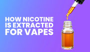 Nicotine extraction process for vapes guide banner