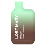Load image into Gallery viewer, Lost Mary BM600 Mint Tobacco Pod Kit – disposable prefilled vape with 600 puffs and 20mg nicotine strength.
