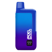 PIXL 8000 Prefilled Pod Kit in Blueberry Raspberry flavor – compact vape device with up to 8,000 puffs.