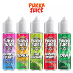 Load image into Gallery viewer, Pukka Juice 50ml E-Liquid - 0mg Nicotine, 70/30 VG/PG, All Flavours
